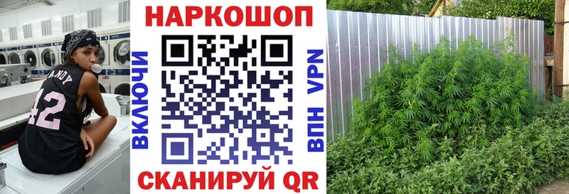 Наркота Пласт Бошки Шишки A-PVP ГАШ Амфетамин КОКАИН