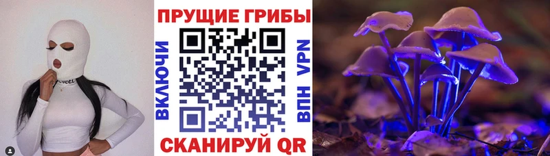 Псилоцибиновые грибы Magic Shrooms  Пласт 